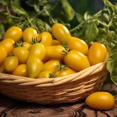 Odkryj Tajemnice Uprawy Pomidorów Lima - Nasiona, Cena i Wskazówki Jak Uprawiać